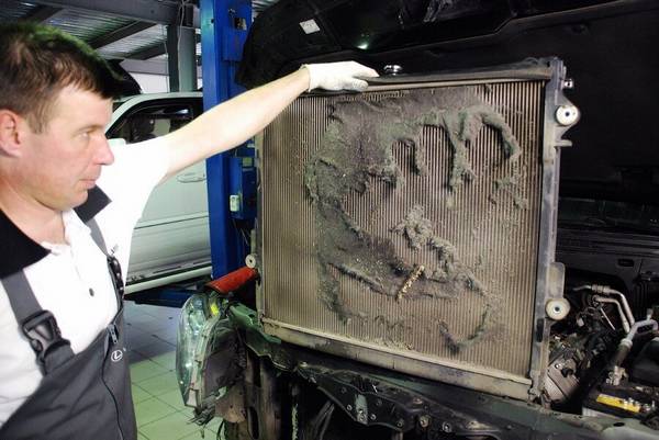 Как почистить радиатор охлаждения автомобиля от грязи с фото